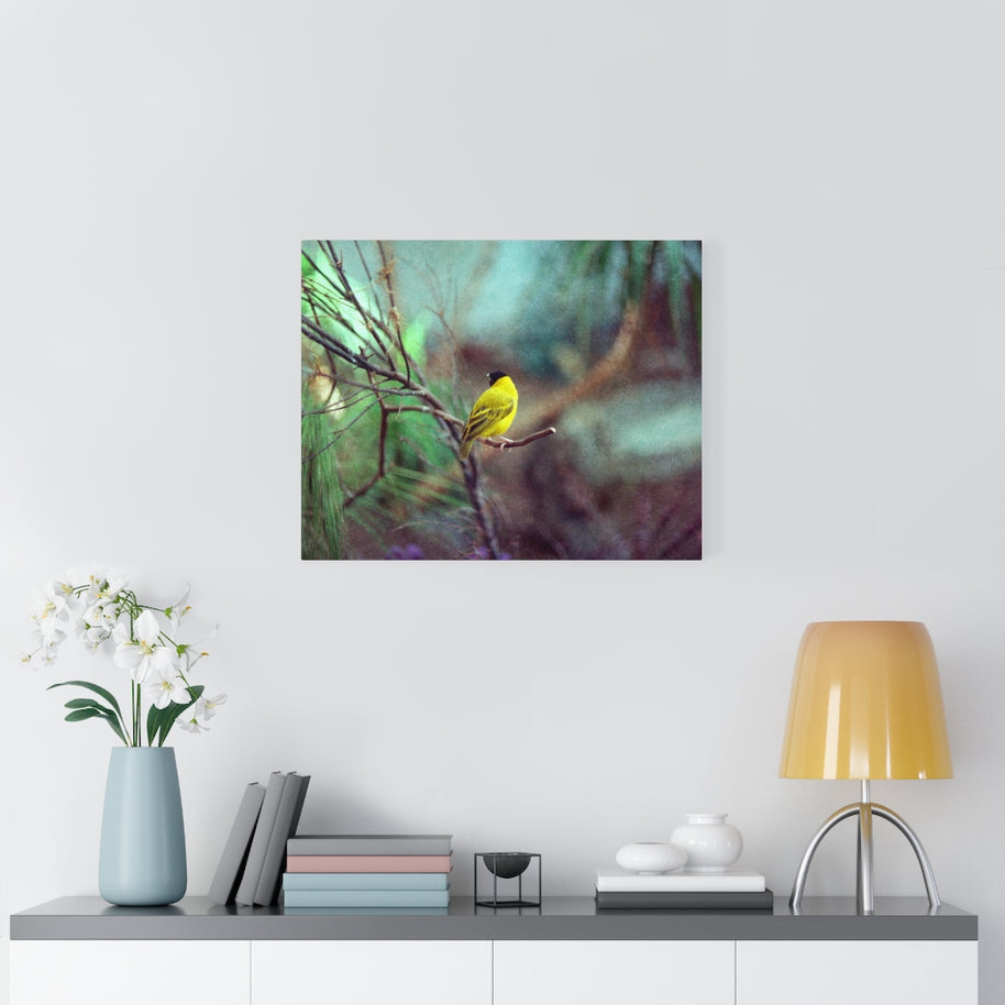 Yellow Bird Canvas Gallery Wraps Colorful Film Photography