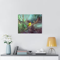 Yellow Bird Canvas Gallery Wraps Colorful Film Photography