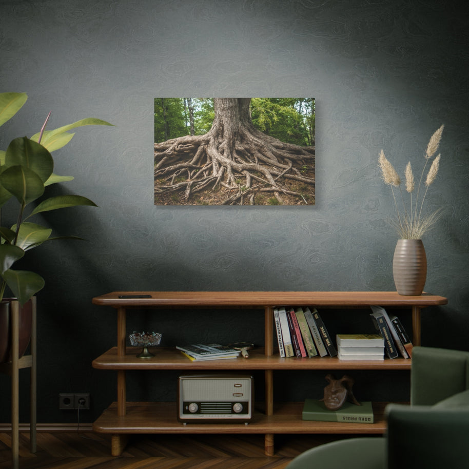 Impression sur toile mate « Racines de l'arbre de vie » - Prêt à accrocher