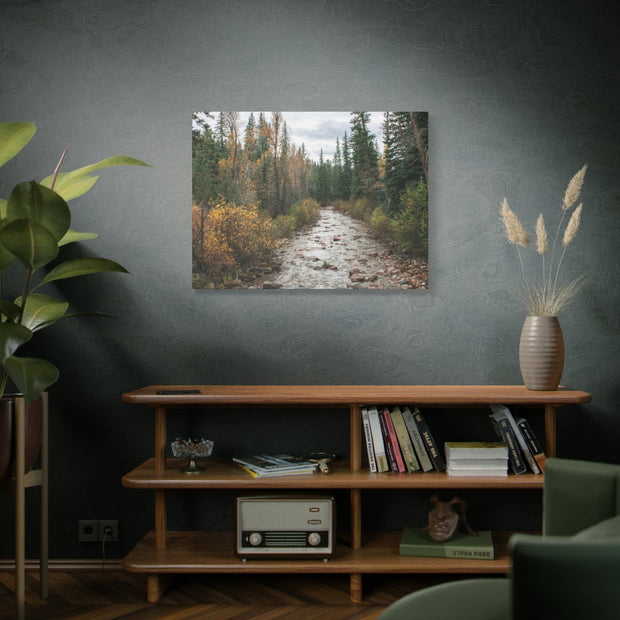 Autumn River in Colorado - Matte Canvas Print - Ready to Hang Art