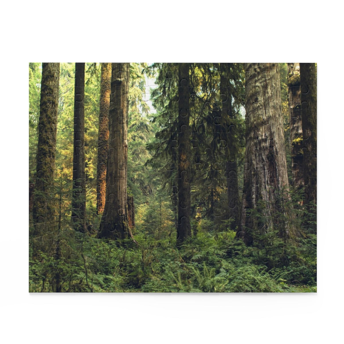 Pacific Northwest Forest Jigsaw Puzzle 252 or 500 Piece -