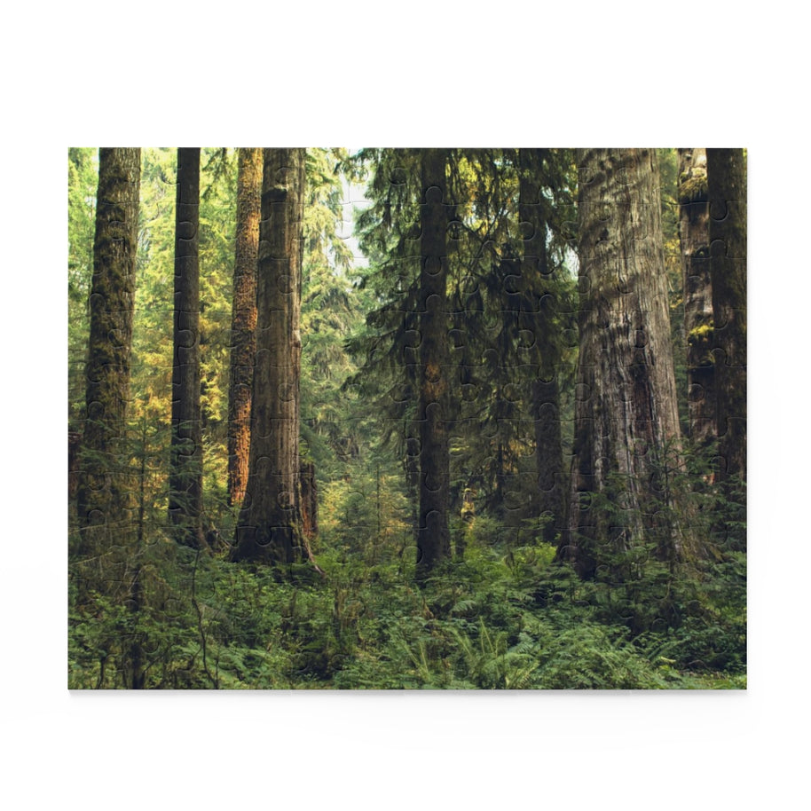 Pacific Northwest Forest Jigsaw Puzzle 252 or 500 Piece -