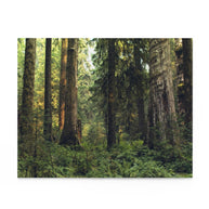 Pacific Northwest Forest Jigsaw Puzzle 252 or 500 Piece -
