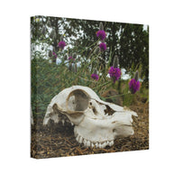 Skull and Flowers Canvas Print