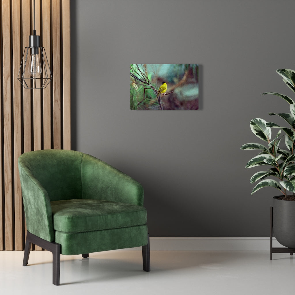 Yellow Bird Canvas Gallery Wraps Colorful Film Photography