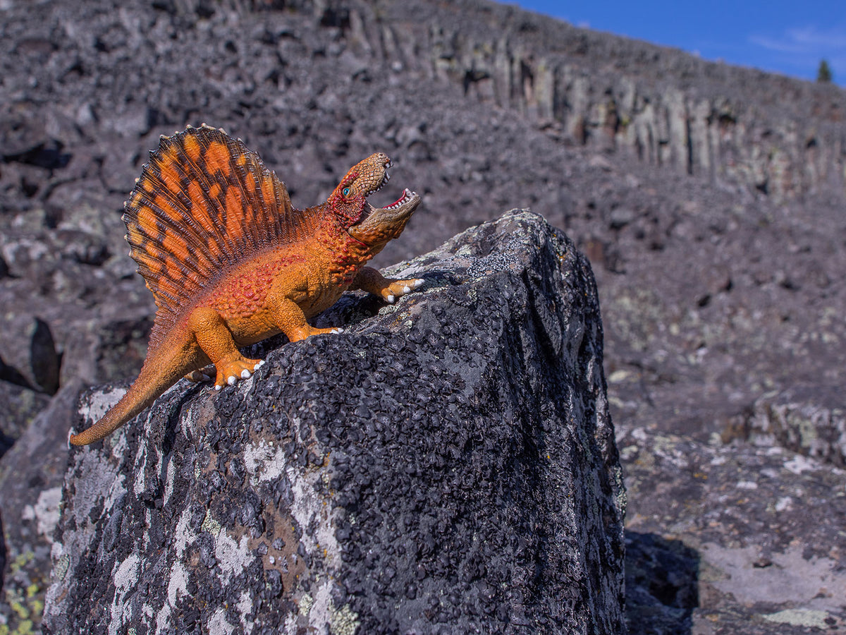 Dimetrodon Roar Photo Art Print Fun Photography Decor