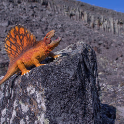 Dimetrodon Roar Photo Art Print Fun Photography Decor