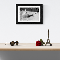 Cemetery Broom and Shadows Buenos Aires Art Print -