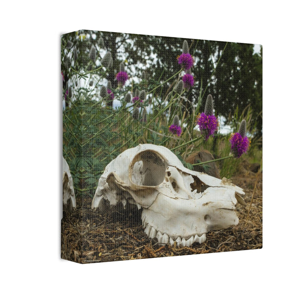 Skull and Flowers Canvas Print