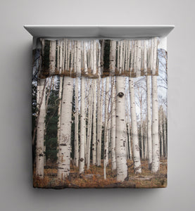 Birch Trees Comforter / Duvet Cover Aspen Blanket Queen Twin