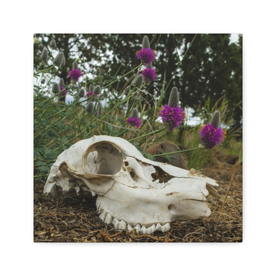 Skull and Flowers Canvas Print - 12 x (Square) / 1.5