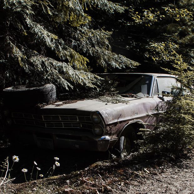 Buried in the Forest Photo Print Abandoned Car Yaak