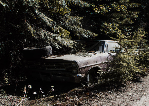Buried in the Forest Photo Print Abandoned Car Yaak