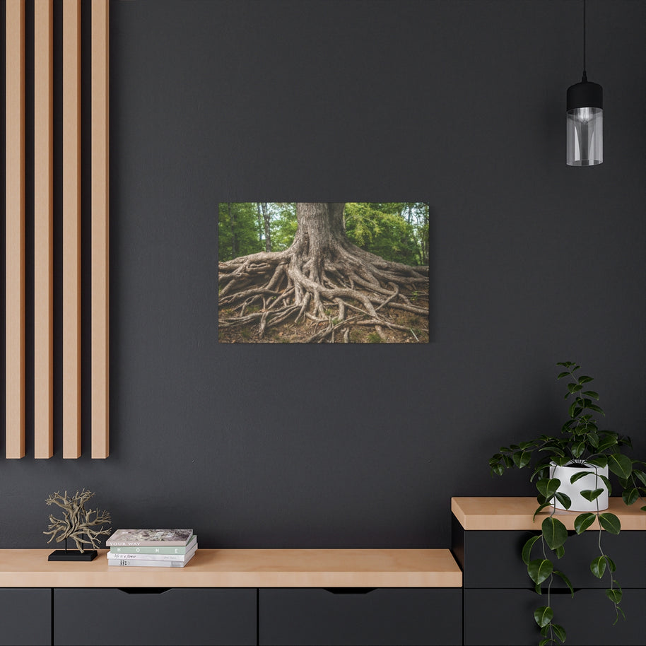 Impression sur toile mate « Racines de l'arbre de vie » - Prêt à accrocher