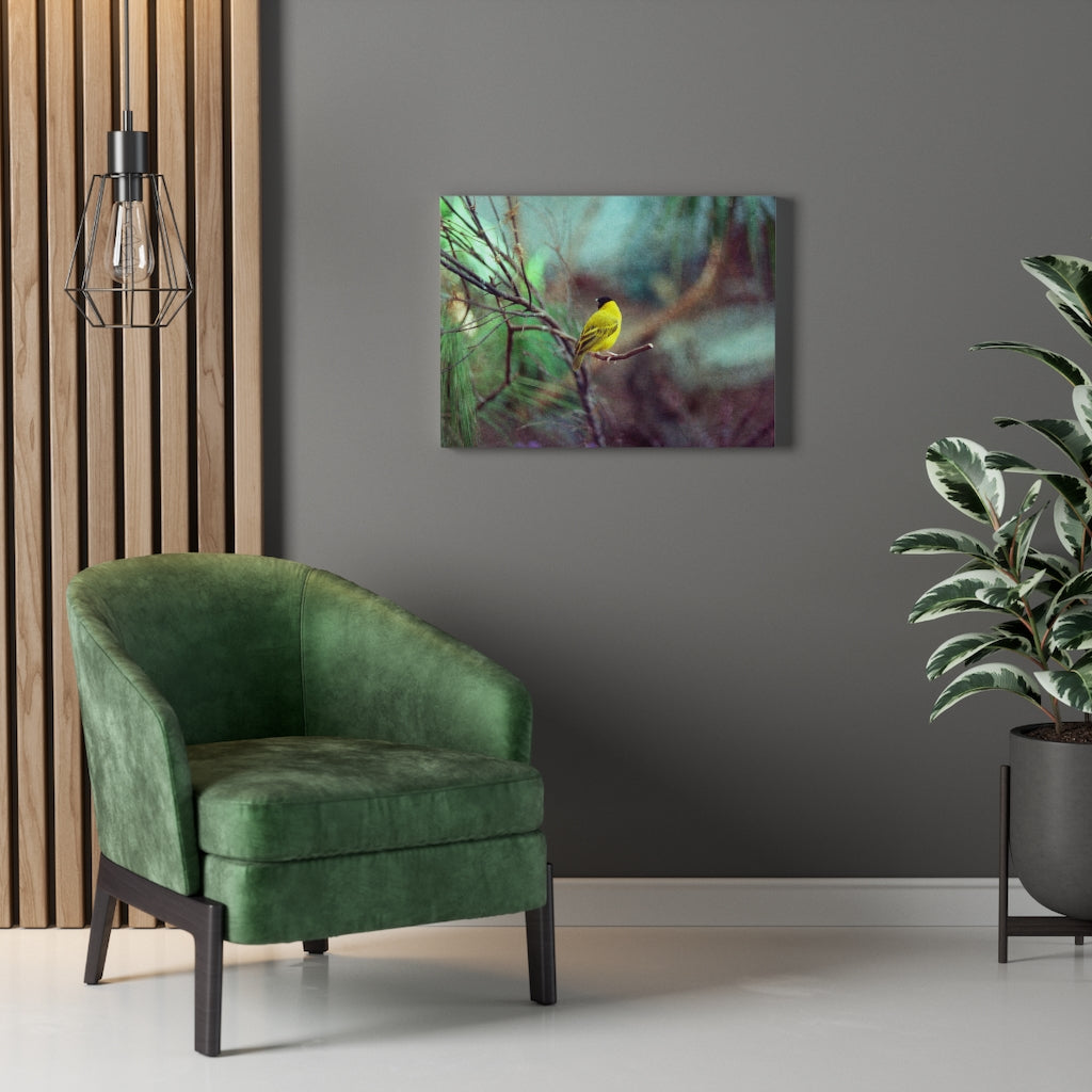 Yellow Bird Canvas Gallery Wraps Colorful Film Photography