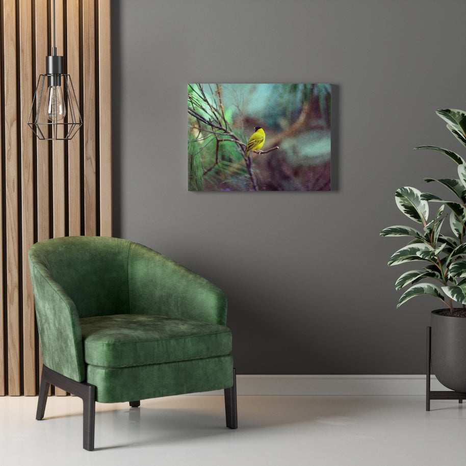 Yellow Bird Canvas Gallery Wraps Colorful Film Photography