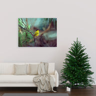 Yellow Bird Canvas Gallery Wraps Colorful Film Photography