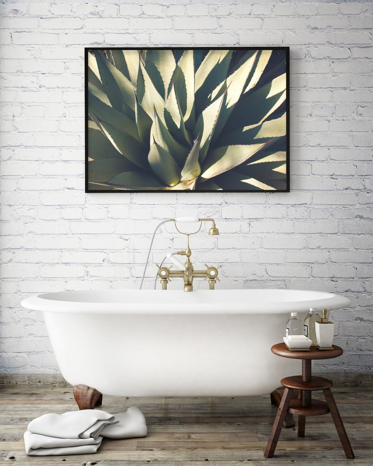 Agave Plant, Botanical Photography Lost Kat Photography