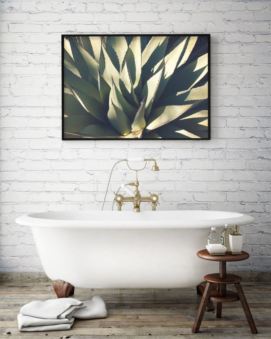 Agave Plant, Botanical Photography Lost Kat Photography