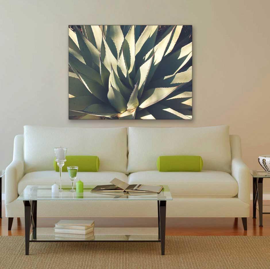 Agave Plant, Botanical Photography Lost Kat Photography