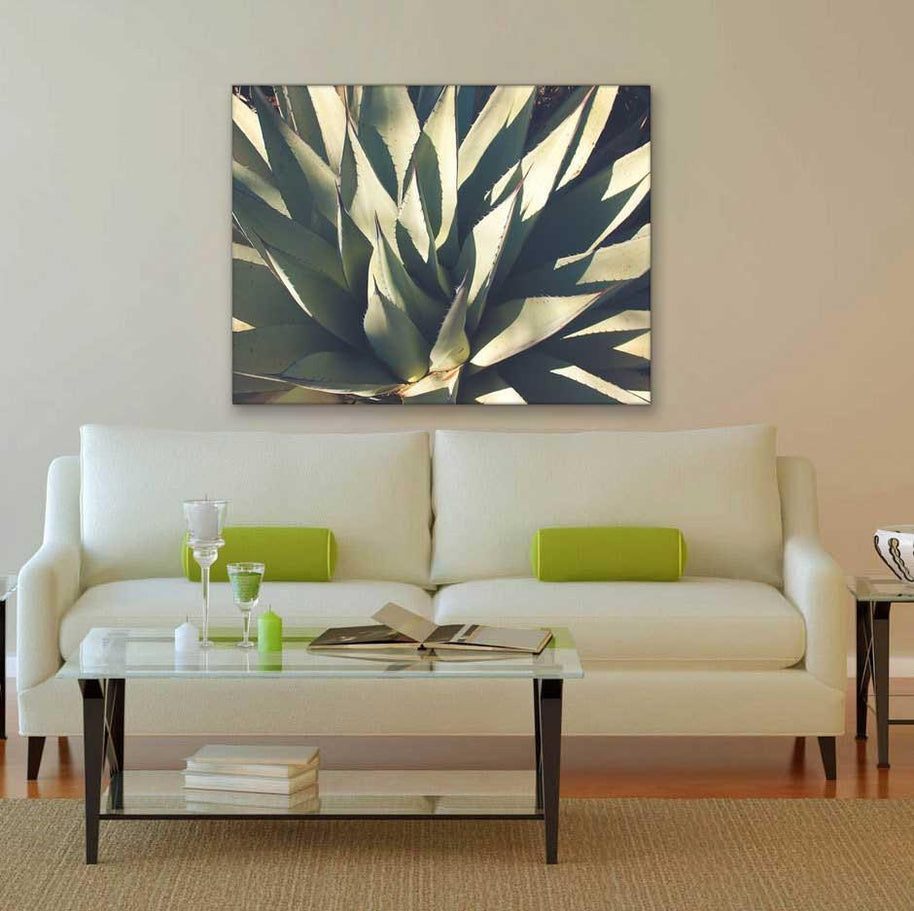 Agave Plant, Botanical Photography Lost Kat Photography