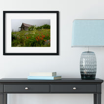 Colorado Cabin Photo Print Wildflowers in Animas Forks