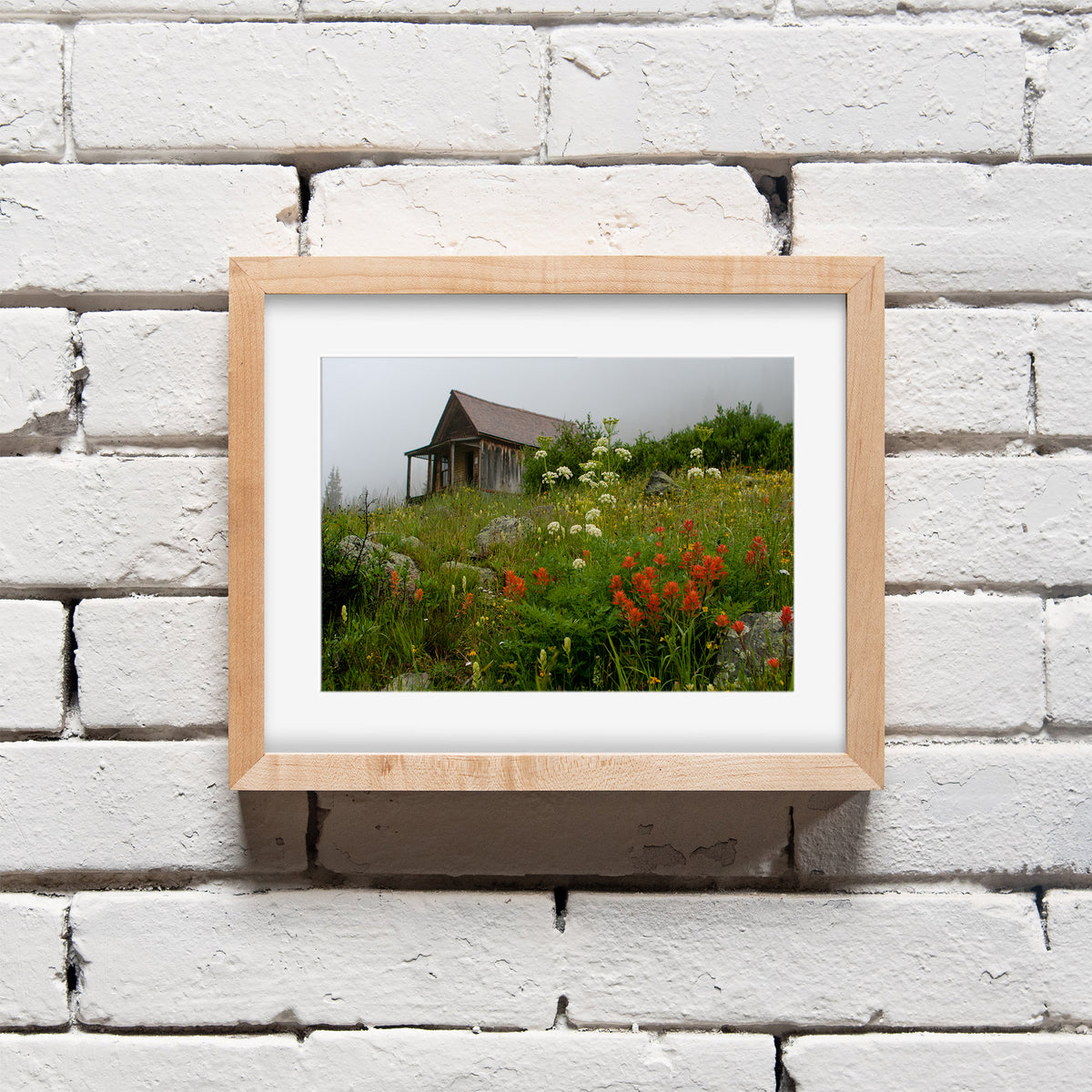 Colorado Cabin Photo Print Wildflowers in Animas Forks