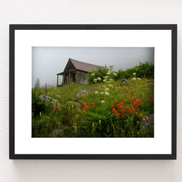 Colorado Cabin Photo Print Wildflowers in Animas Forks