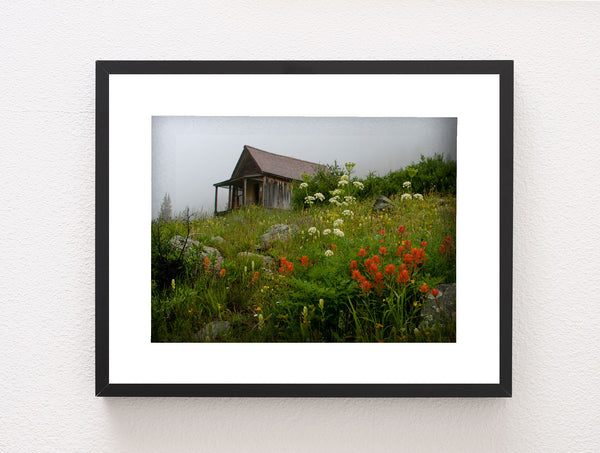 Colorado Cabin Photo Print Wildflowers in Animas Forks