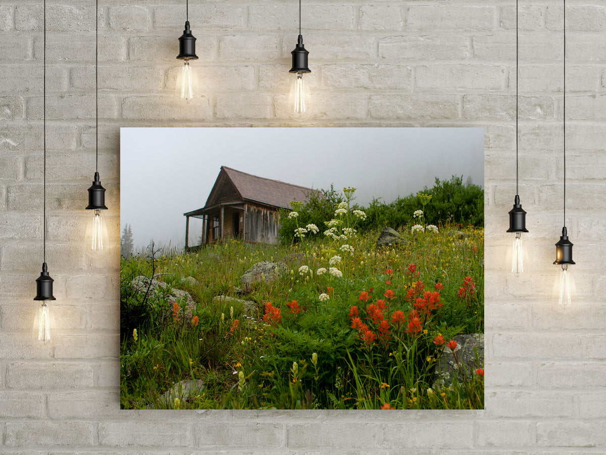 Colorado Cabin Photo Print Wildflowers in Animas Forks