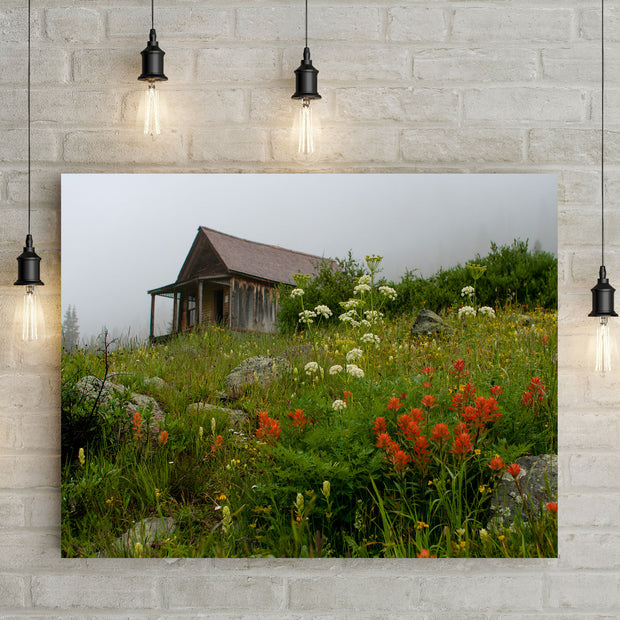 Colorado Cabin Photo Print Wildflowers in Animas Forks