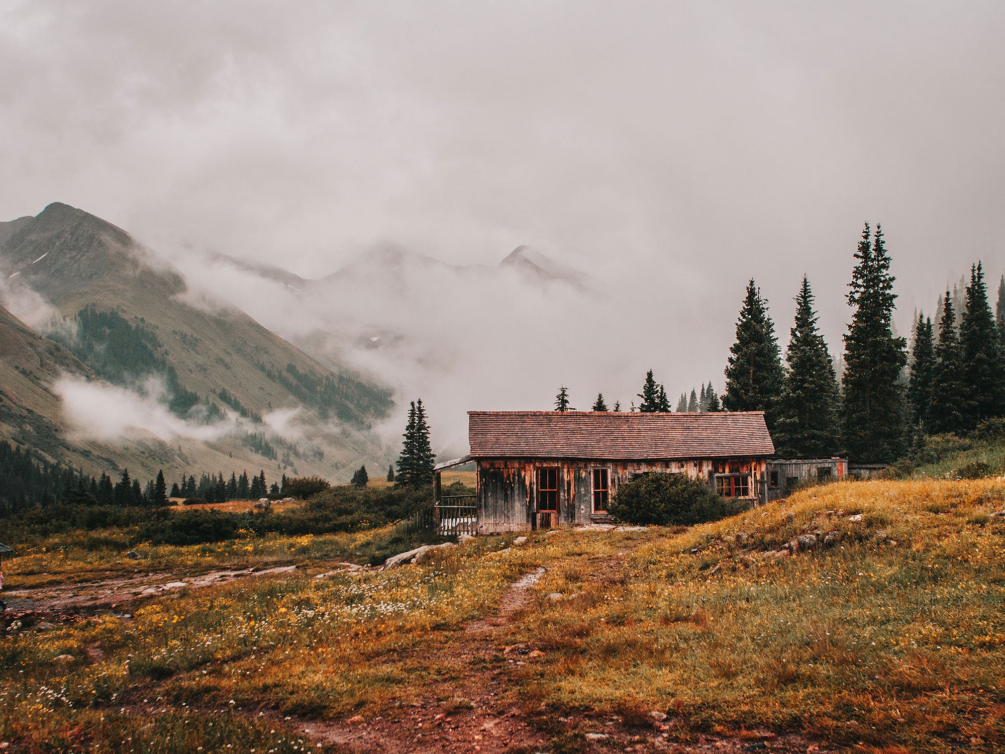 Foggy Mountains Cabin Photo Print Colorado Wildflowers