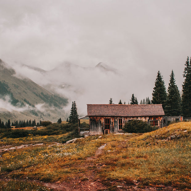 Foggy Mountains Cabin Photo Print Colorado Wildflowers