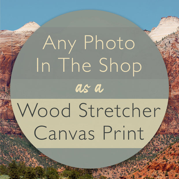 An image with the text "any photo in the shop as a wood stretcher canvas print"