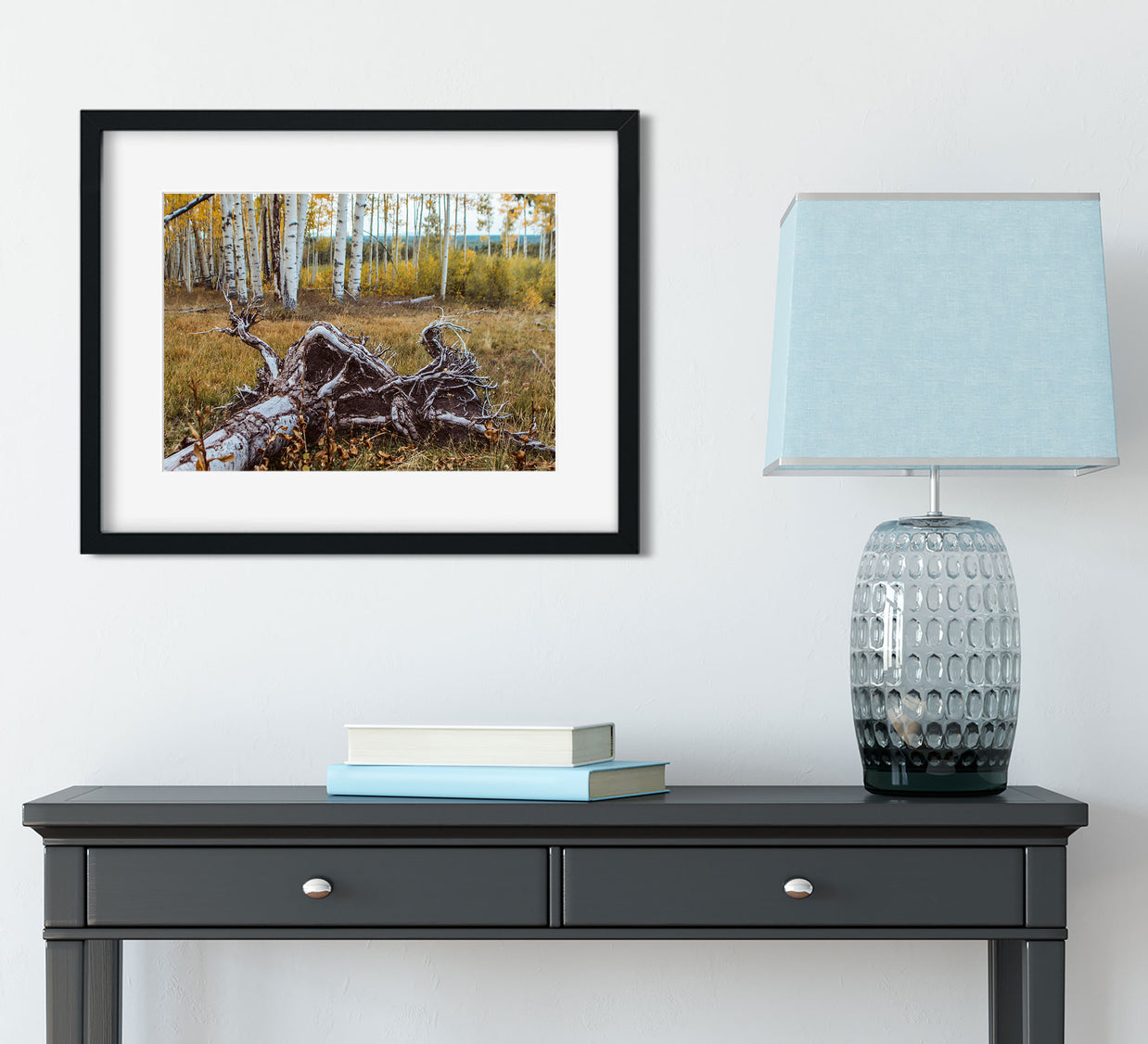 Fallen Aspen Roots Colorado Photo Print - Photography