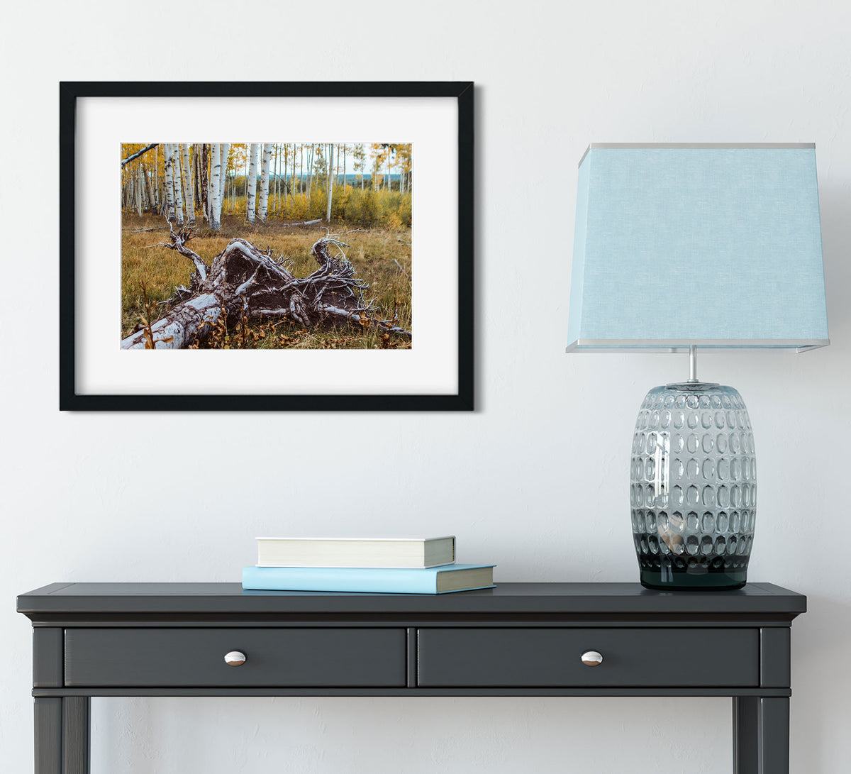 Fallen Aspen Roots Colorado Photo Print - Photography