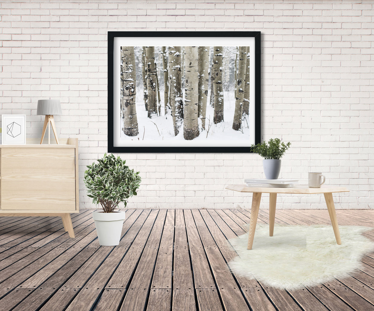 Winter Aspen Forest Photo Print Colorado Wall Art -