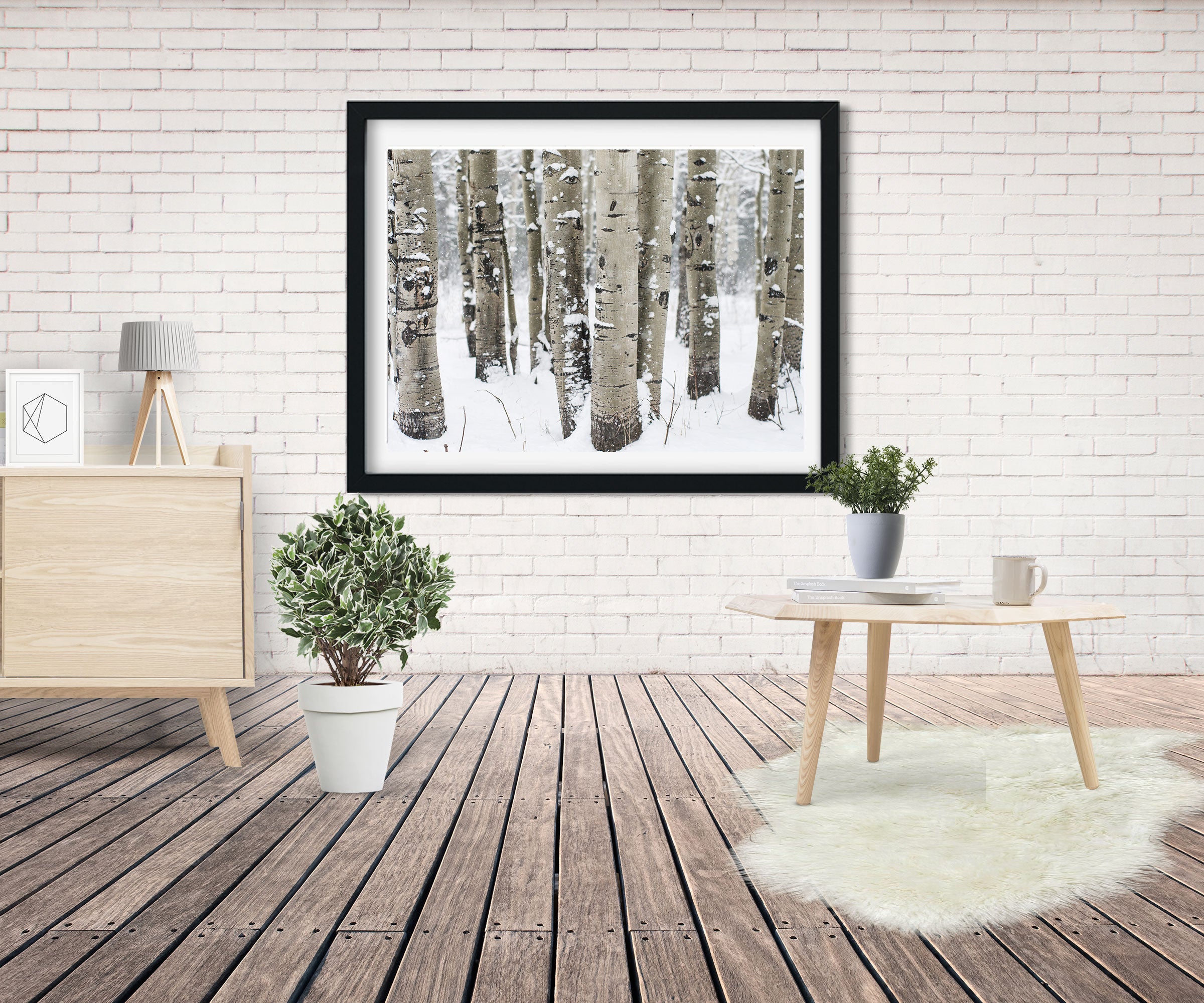 Winter Aspen Forest Photo Print Colorado Wall Art -