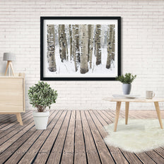 Winter Aspen Forest Photo Print Colorado Wall Art -