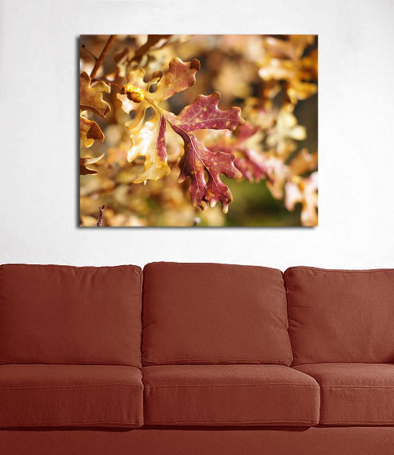 Autumn Oak Leaves, Nature Photography Lost Kat Photography