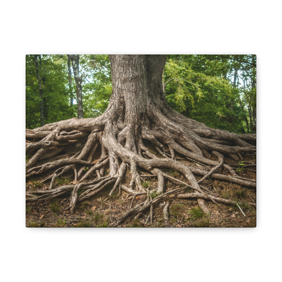 Impression sur toile mate « Racines de l'arbre de vie » - Prêt à accrocher