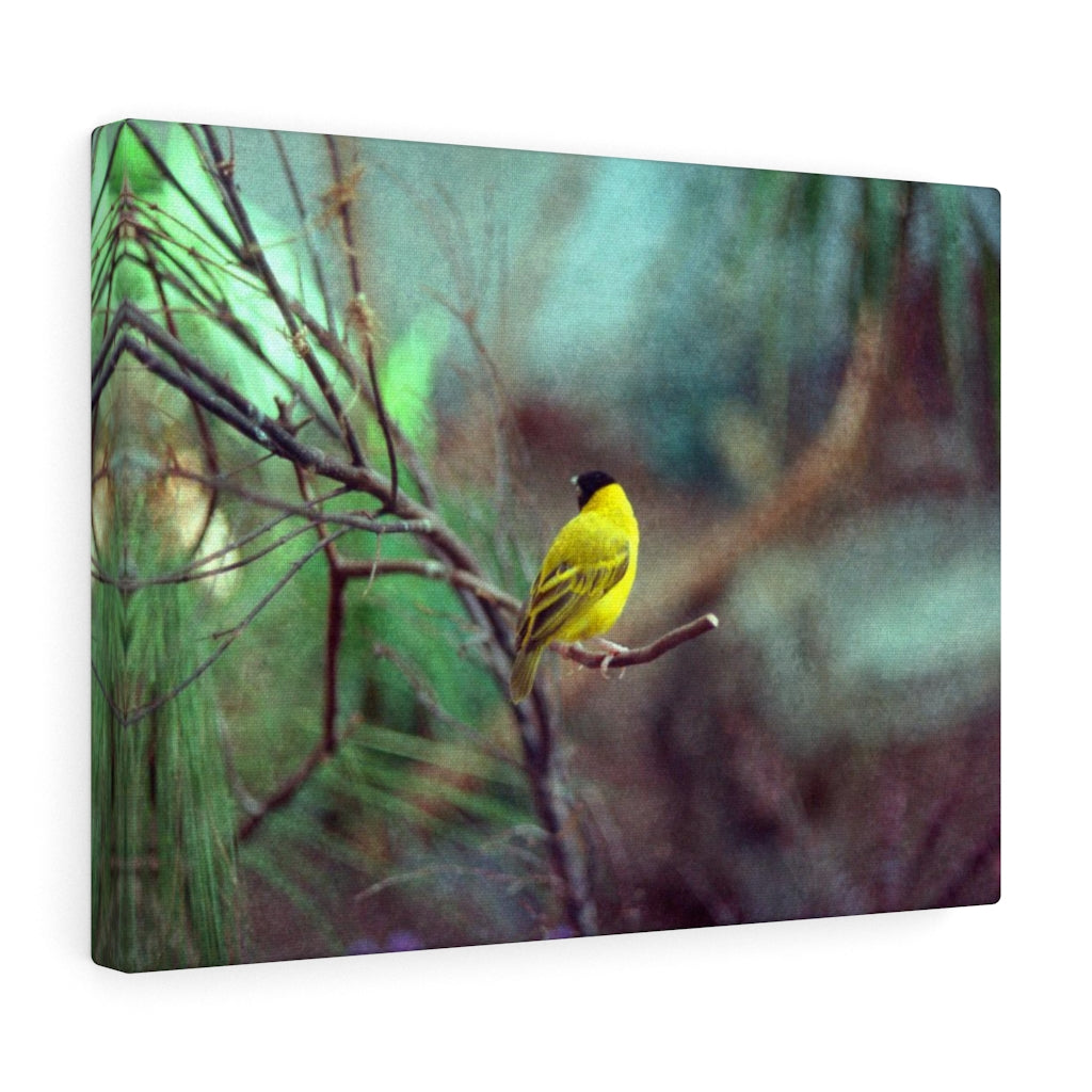 Yellow Bird Canvas Gallery Wraps Colorful Film Photography -