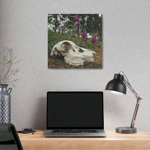 Skull and Flowers Canvas Print - 16 x (Square) / 1.5