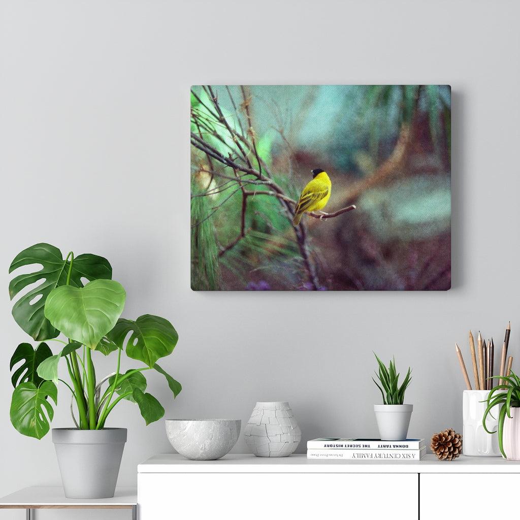 Yellow Bird Canvas Gallery Wraps Colorful Film Photography