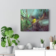 Yellow Bird Canvas Gallery Wraps Colorful Film Photography