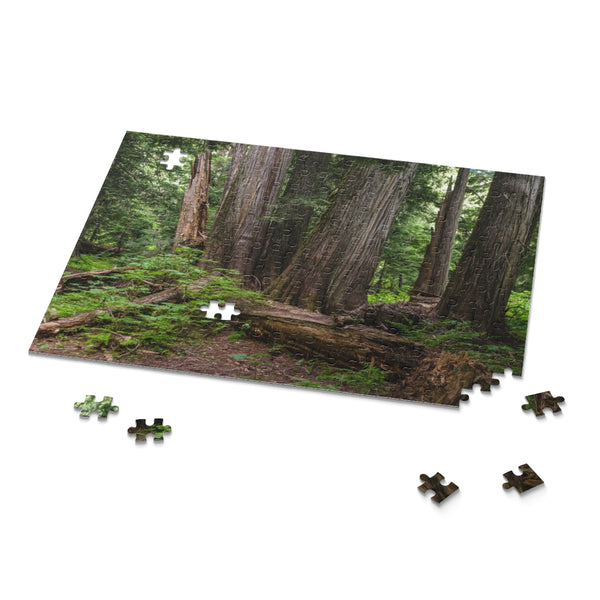 Cedar Grove Jigsaw Puzzle 252 or 500 Piece - Lush Forest
