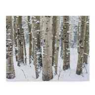 Winter Aspen Forest Jigsaw Puzzle 252 or 500 Piece -