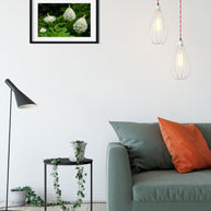 Bear Grass Photo Print Montana Wildflowers Wall Art -