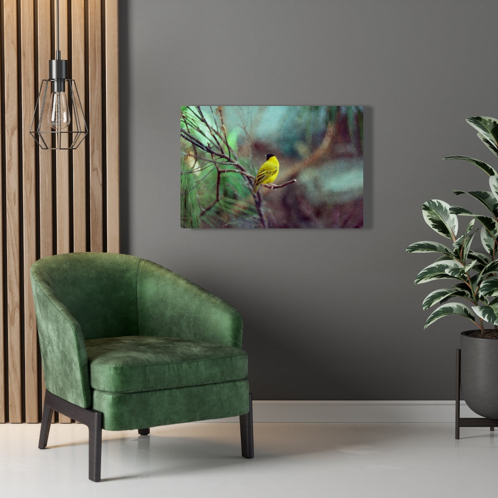 Yellow Bird Canvas Gallery Wraps Colorful Film Photography