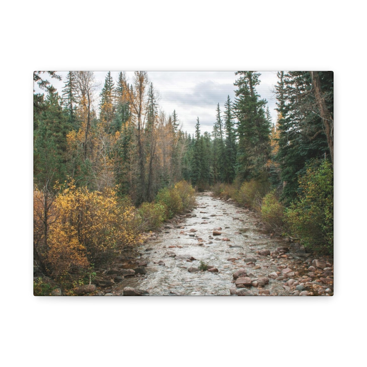Autumn River in Colorado – Matter Leinwanddruck – fertig zum Aufhängen
